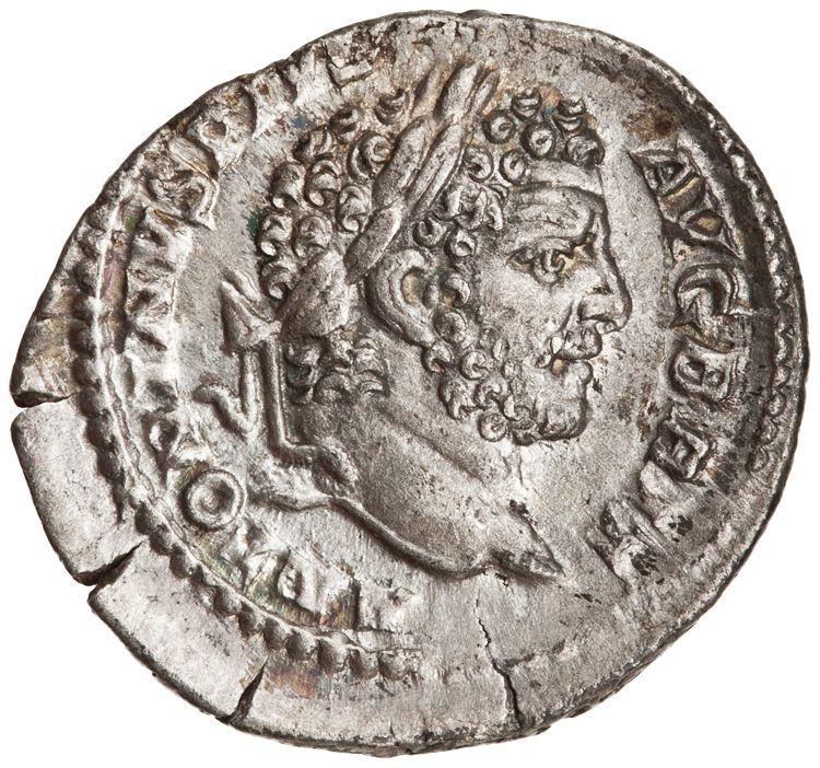 RIC IV Caracalla 226, аверс, American Numismatic Society (ans)