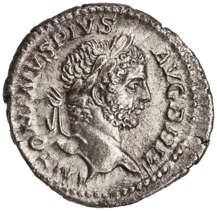 RIC IV Caracalla 231A, аверс, American Numismatic Society (ans)