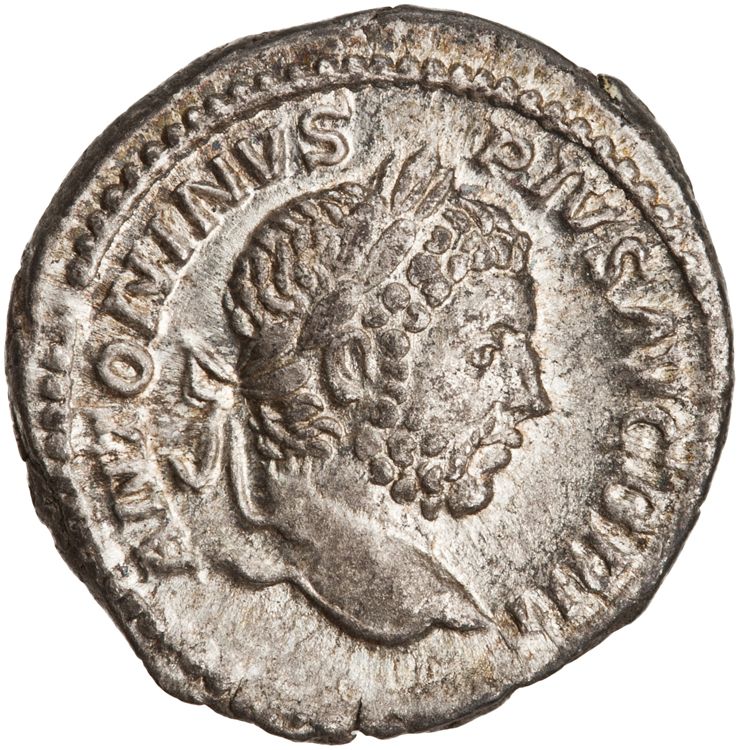 RIC IV Caracalla 231A, аверс, American Numismatic Society (ans)