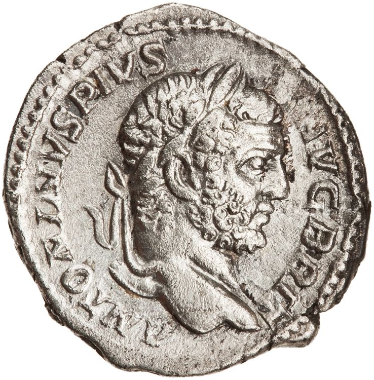 RIC IV Caracalla 191, аверс, American Numismatic Society (ans)