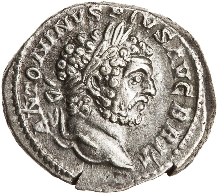 RIC IV Caracalla 194, аверс, American Numismatic Society (ans)