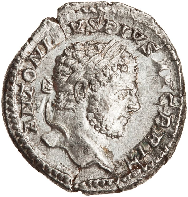 RIC IV Caracalla 195, аверс, American Numismatic Society (ans)