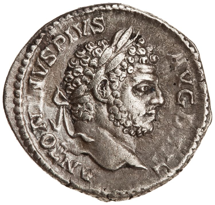 RIC IV Caracalla 195, аверс, American Numismatic Society (ans)