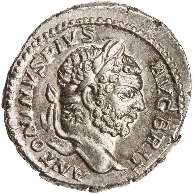 RIC IV Caracalla 196, аверс, American Numismatic Society (ans)