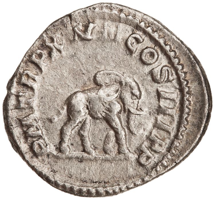 RIC IV Caracalla 199, реверс, American Numismatic Society (ans)