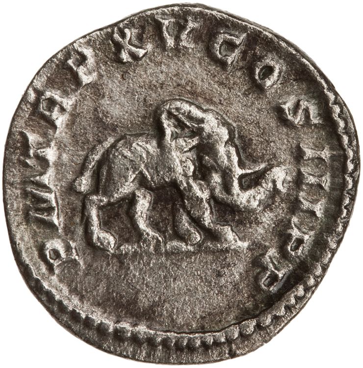 RIC IV Caracalla 199, реверс, American Numismatic Society (ans)