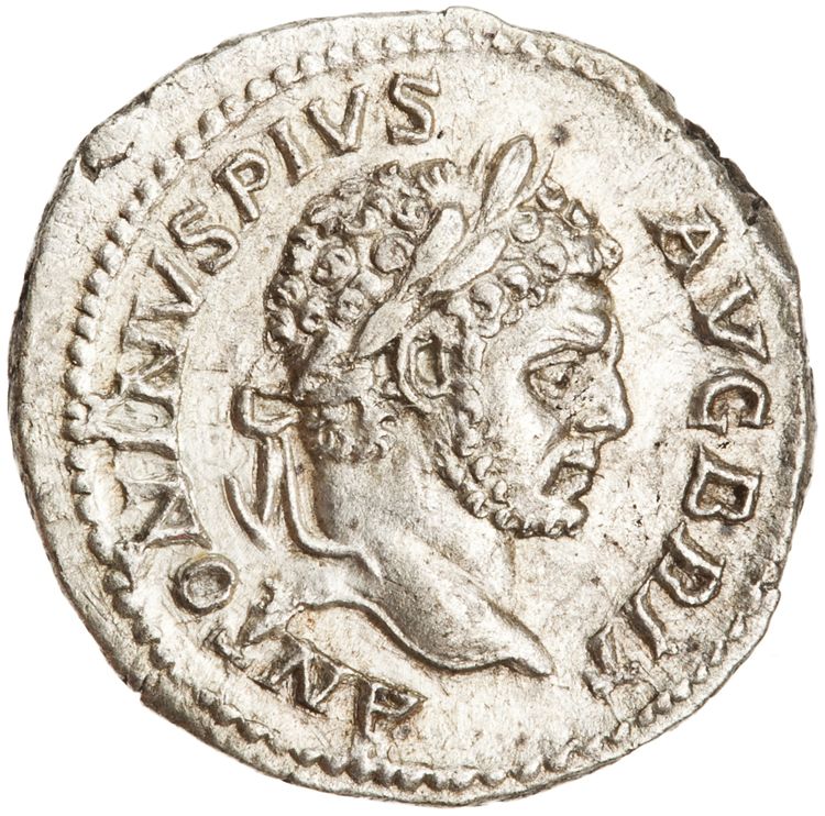 RIC IV Caracalla 206A, аверс, American Numismatic Society (ans)