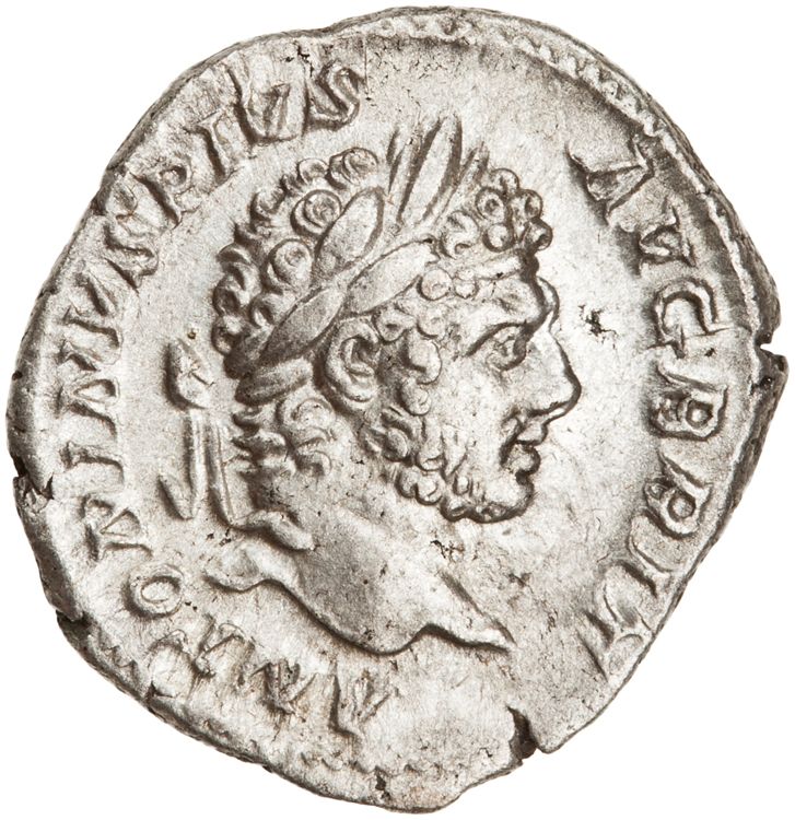 RIC IV Caracalla 206A, аверс, American Numismatic Society (ans)