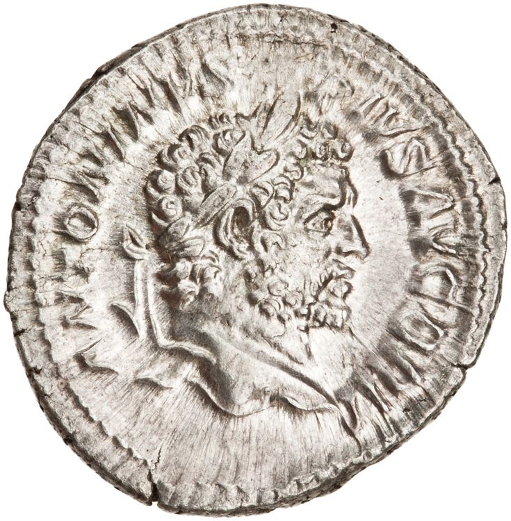 RIC IV Caracalla 206A, аверс, American Numismatic Society (ans)