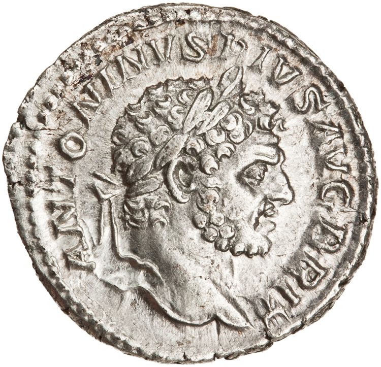 RIC IV Caracalla 208a, аверс, American Numismatic Society (ans)