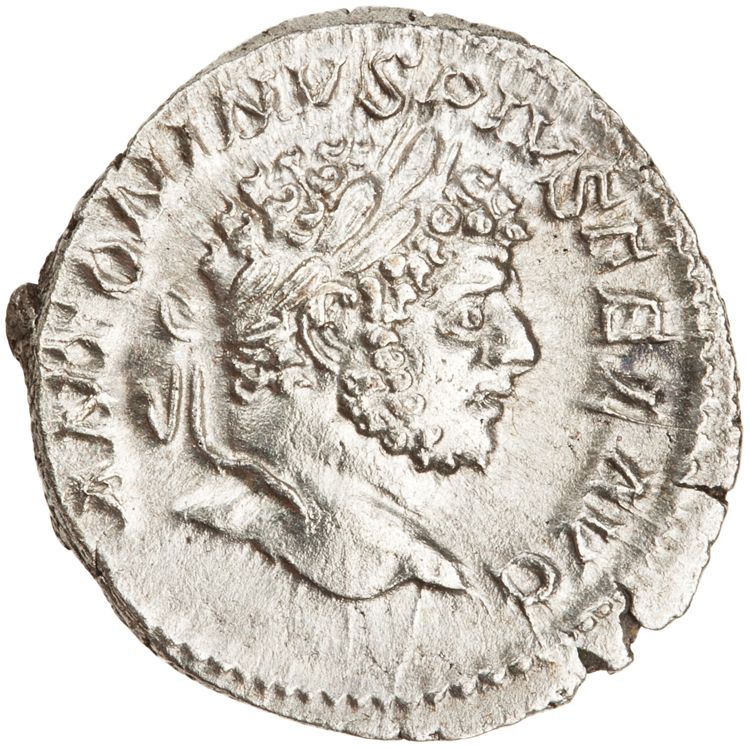 RIC IV Caracalla 206b, аверс, American Numismatic Society (ans)