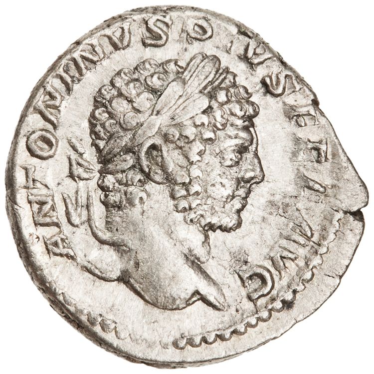 RIC IV Caracalla 208b, аверс, American Numismatic Society (ans)
