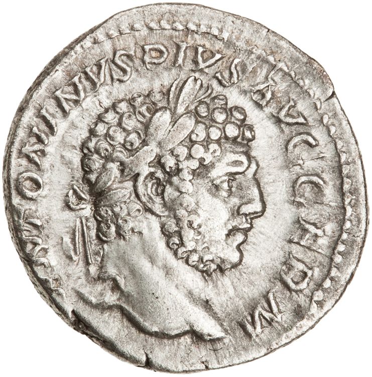 RIC IV Caracalla 206c, аверс, American Numismatic Society (ans)