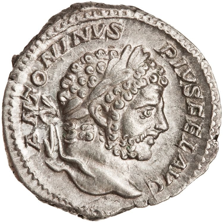 RIC IV Caracalla 235, аверс, American Numismatic Society (ans)