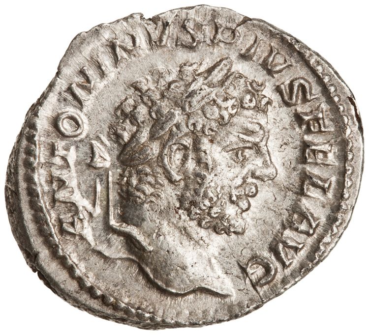 RIC IV Caracalla 235, аверс, American Numismatic Society (ans)