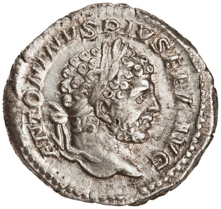RIC IV Caracalla 236, аверс, American Numismatic Society (ans)