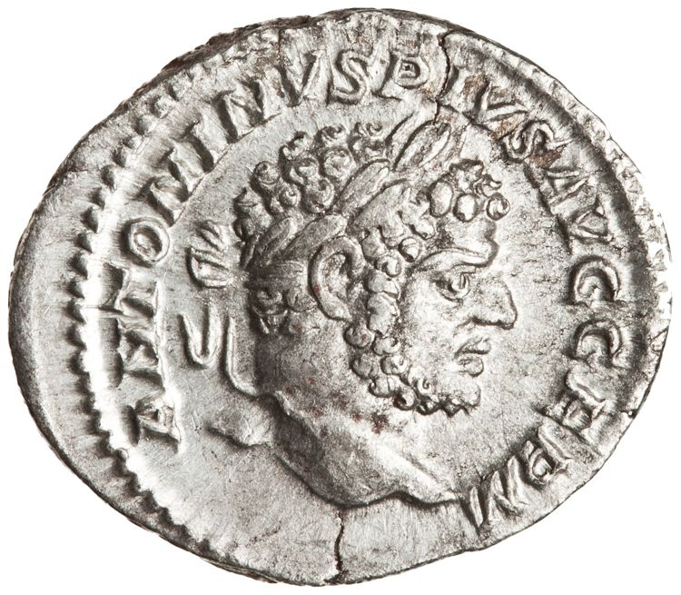 RIC IV Caracalla 307, аверс, American Numismatic Society (ans)