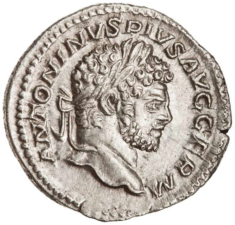 RIC IV Caracalla 308, аверс, American Numismatic Society (ans)