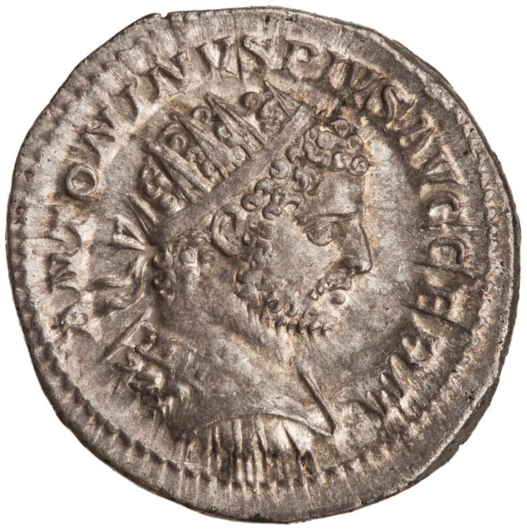 RIC IV Caracalla 311C (antoninianus), obverse, American Numismatic Society (ans)
