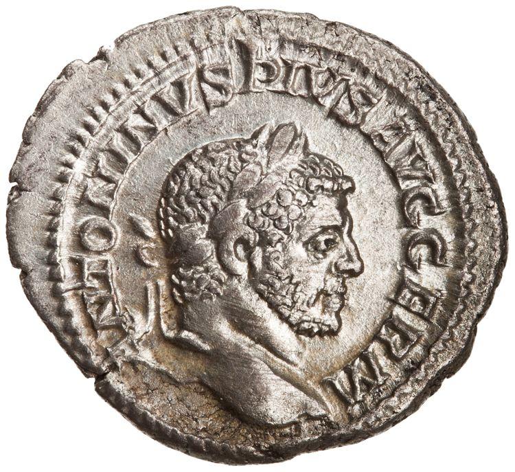 RIC IV Caracalla 312D, аверс, American Numismatic Society (ans)
