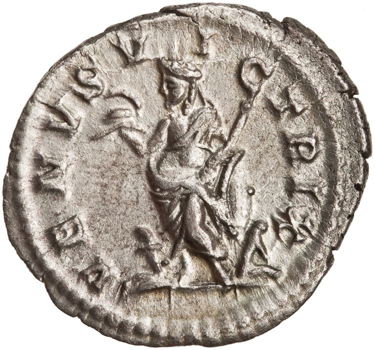 RIC IV Caracalla 312D, реверс, American Numismatic Society (ans)
