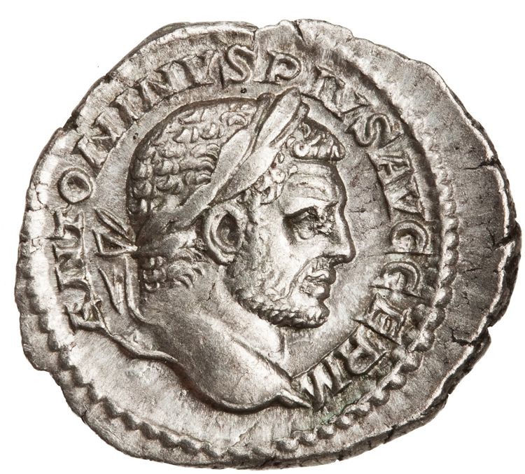 RIC IV Caracalla 312D, аверс, American Numismatic Society (ans)