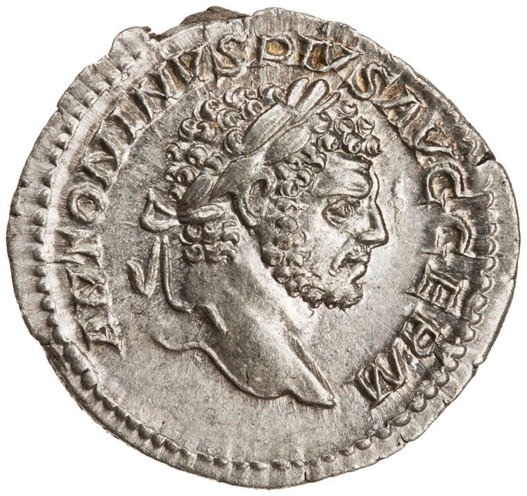RIC IV Caracalla 238A, аверс, American Numismatic Society (ans)