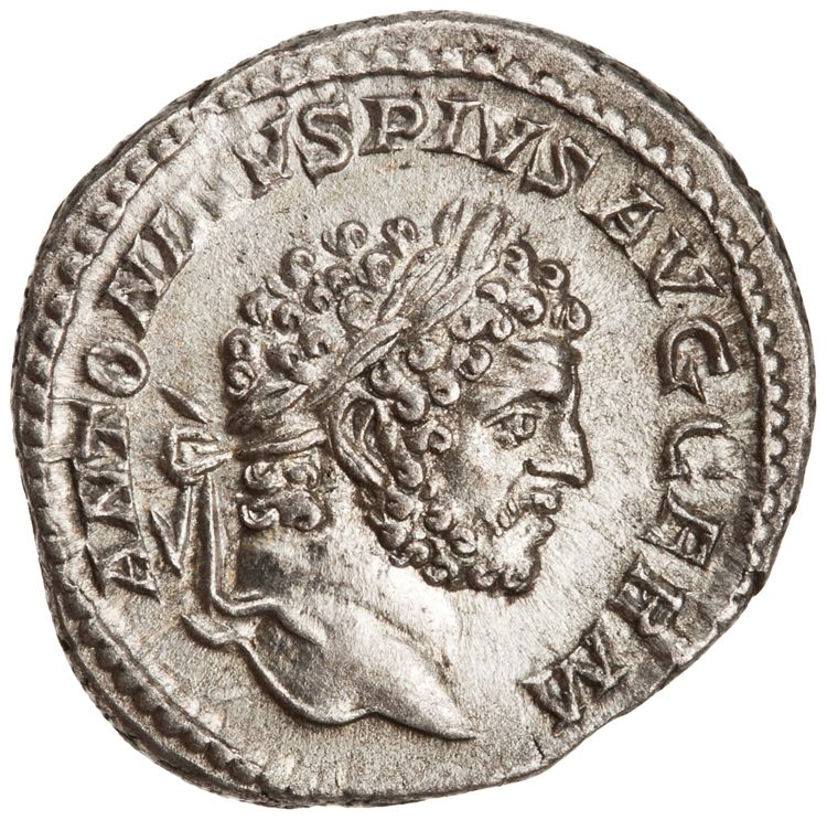 RIC IV Caracalla 238A, аверс, American Numismatic Society (ans)