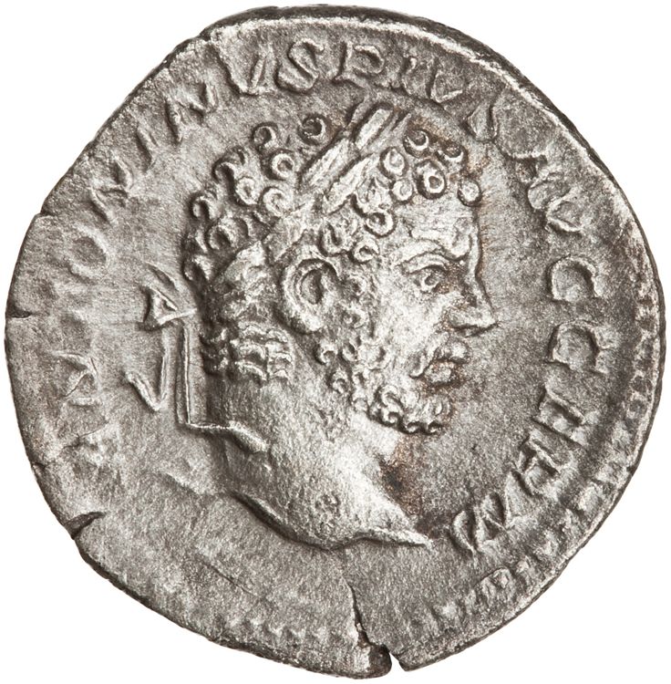 RIC IV Caracalla 240, аверс, American Numismatic Society (ans)