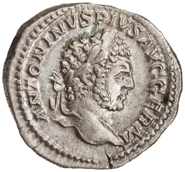 RIC IV Caracalla 244, аверс, American Numismatic Society (ans)