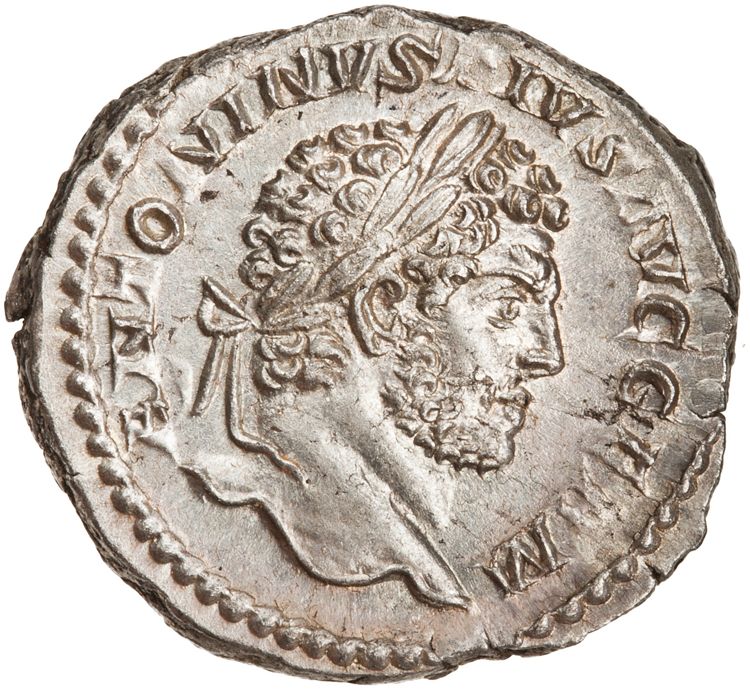 RIC IV Caracalla 246, аверс, American Numismatic Society (ans)