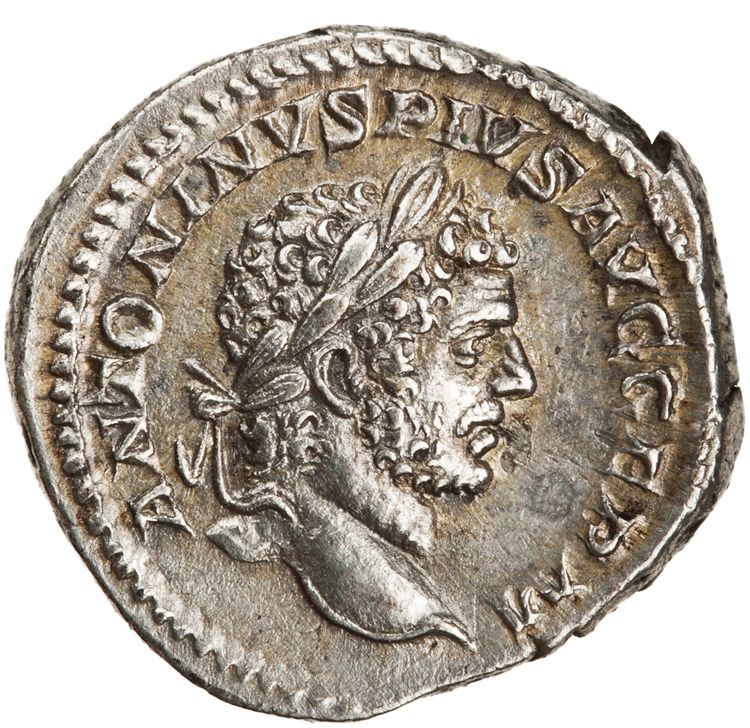 RIC IV Caracalla 251, аверс, American Numismatic Society (ans)