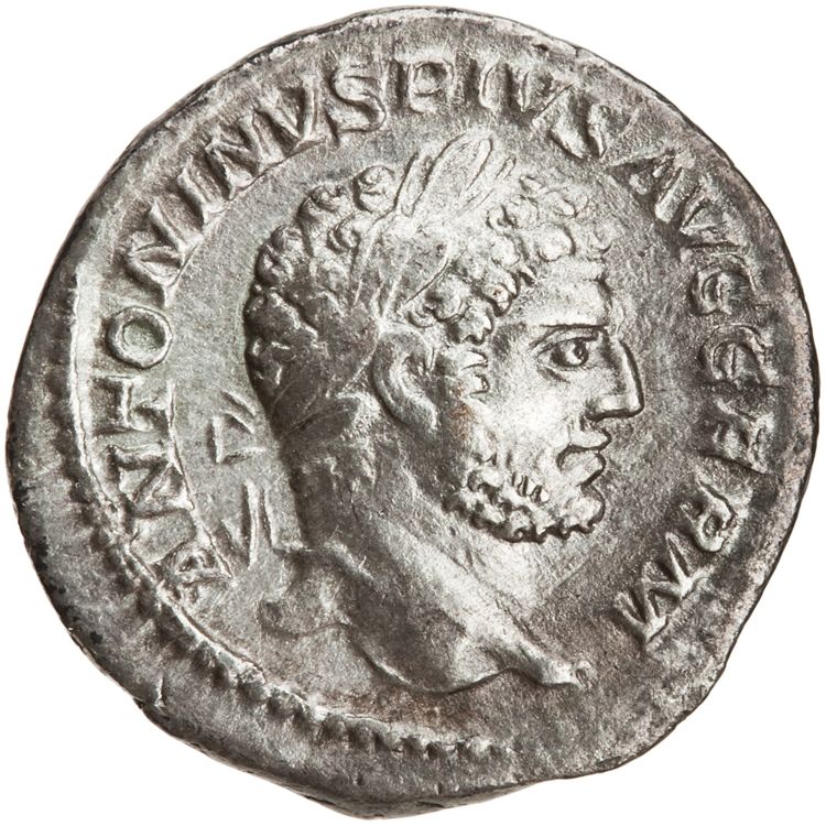 RIC IV Caracalla 253, аверс, American Numismatic Society (ans)