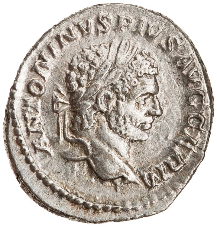 RIC IV Caracalla 254, аверс, American Numismatic Society (ans)