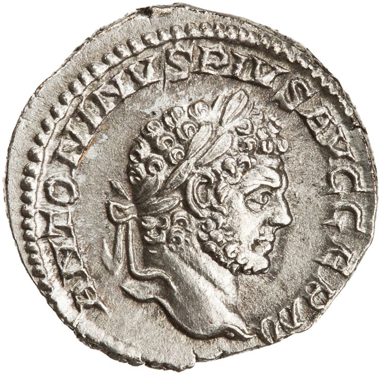 RIC IV Caracalla 240, аверс, American Numismatic Society (ans)
