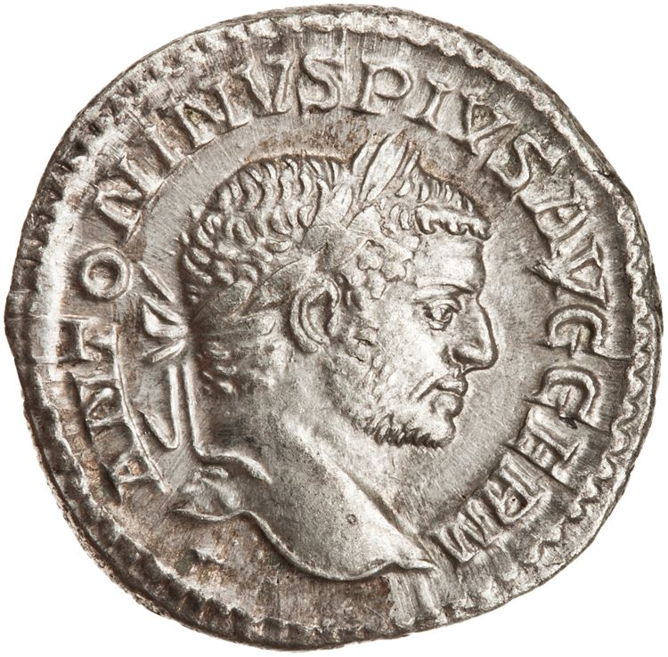 RIC IV Caracalla 258C, аверс, American Numismatic Society (ans)