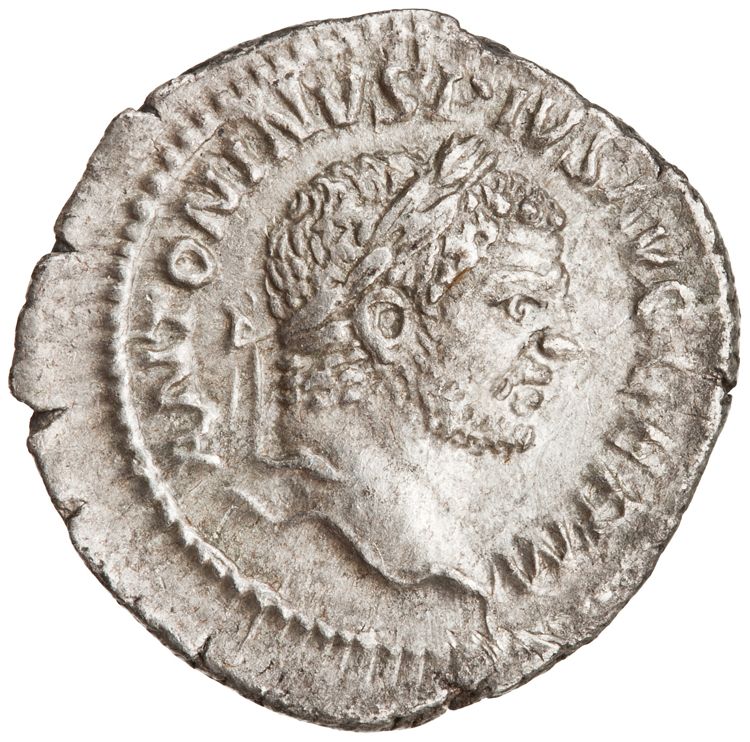 аверс RIC IV Caracalla 261A (denarius)