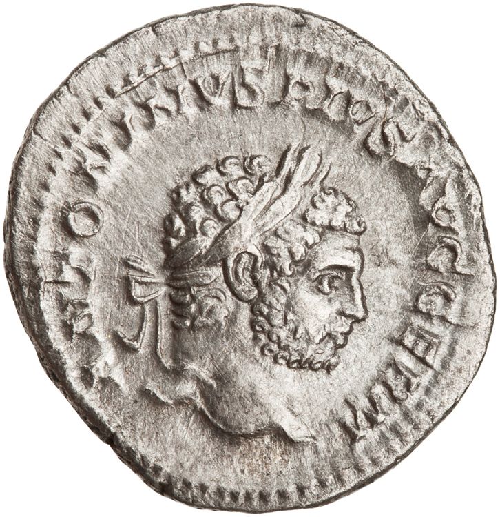 RIC IV Caracalla 266, аверс, American Numismatic Society (ans)