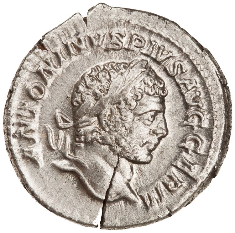 RIC IV Caracalla 266, аверс, American Numismatic Society (ans)