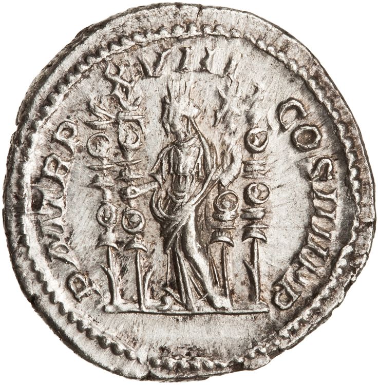 RIC IV Caracalla 267, реверс, American Numismatic Society (ans)