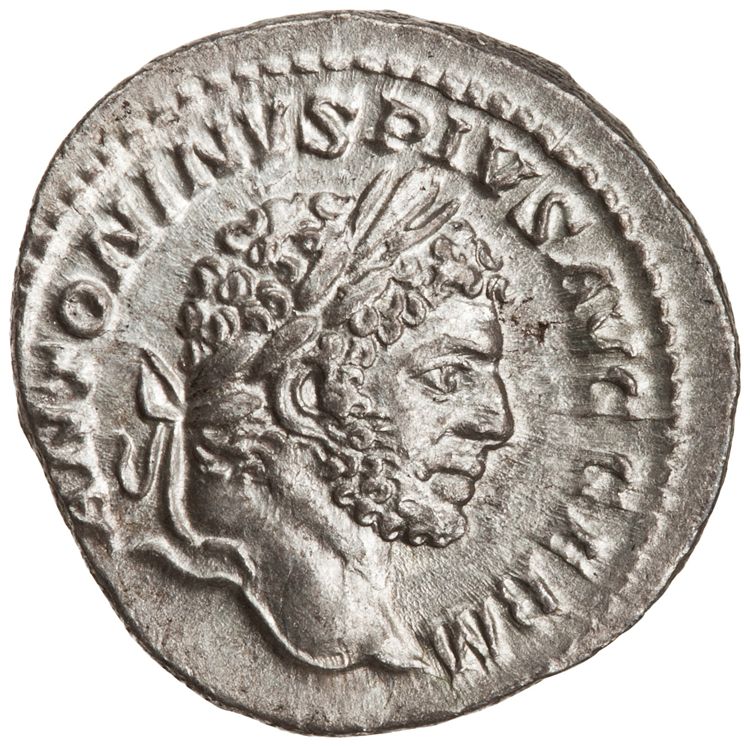 RIC IV Caracalla 268, аверс, American Numismatic Society (ans)