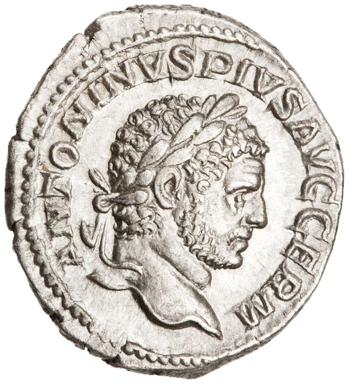 RIC IV Caracalla 275A (denarius), obverse, American Numismatic Society (ans)