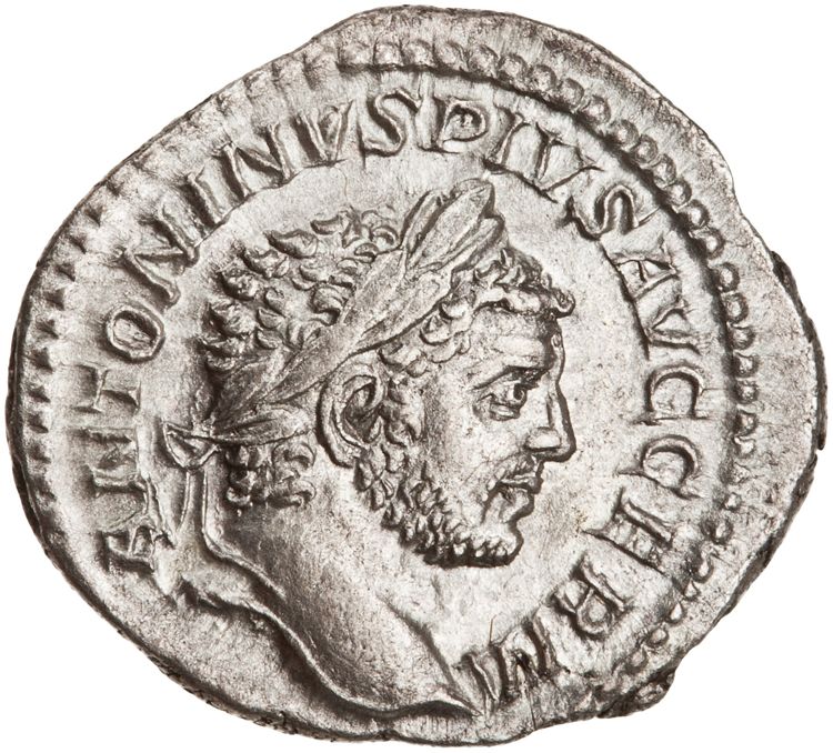 RIC IV Caracalla 275A (denarius), obverse, American Numismatic Society (ans)