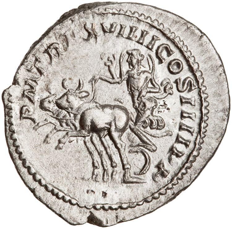 reverse RIC IV Caracalla 274A (denarius)