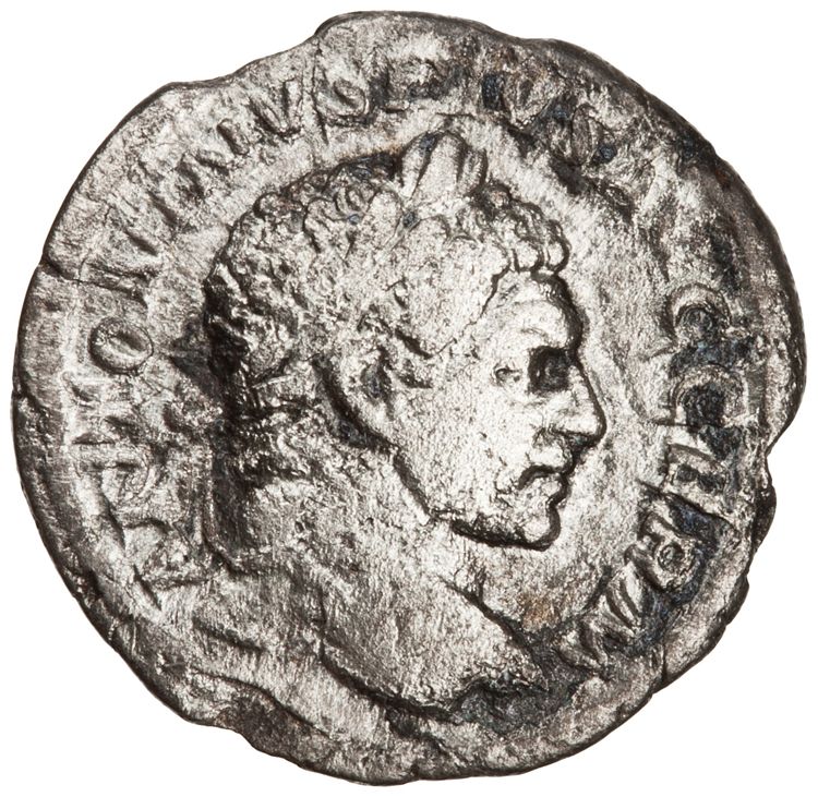 RIC IV Caracalla 283C, аверс, American Numismatic Society (ans)