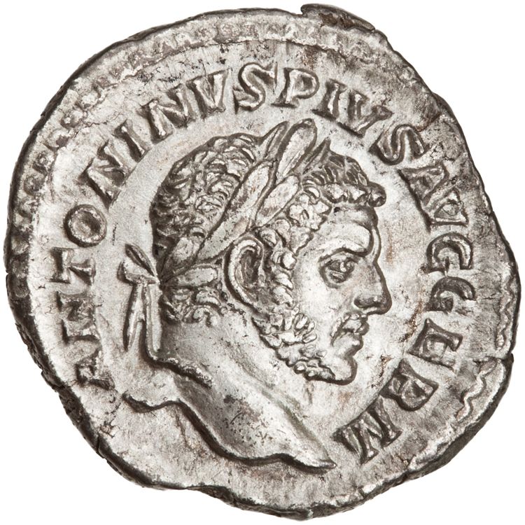 RIC IV Caracalla 285A (denarius), аверс, American Numismatic Society (ans)