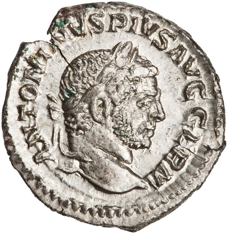 RIC IV Caracalla 285A (denarius), аверс, American Numismatic Society (ans)