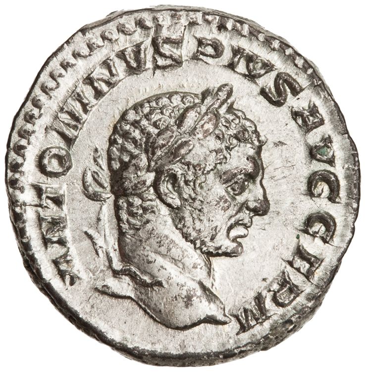 RIC IV Caracalla 284D, аверс, American Numismatic Society (ans)