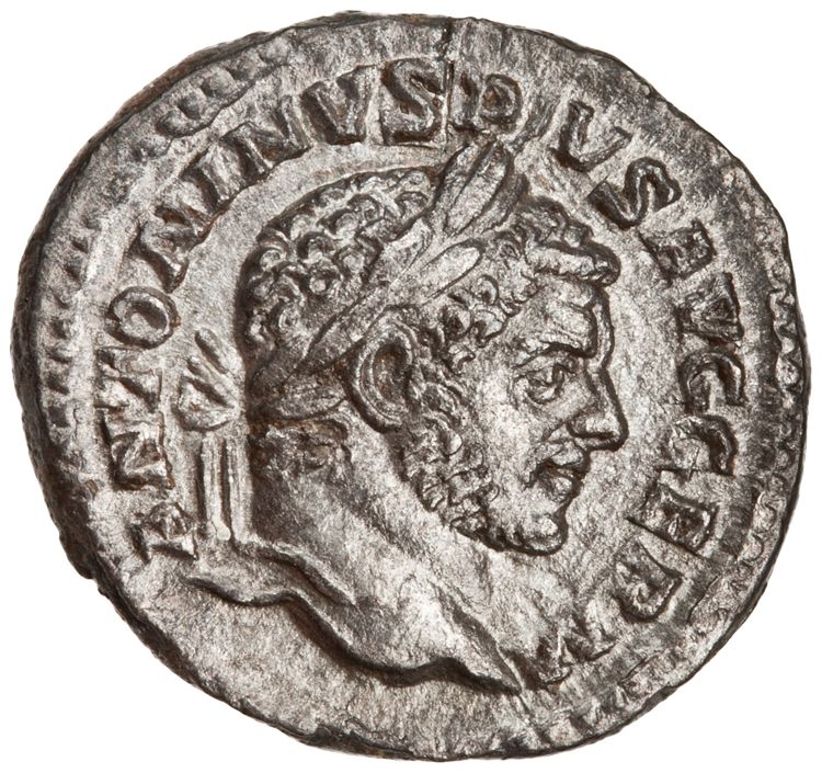 RIC IV Caracalla 289C, аверс, American Numismatic Society (ans)