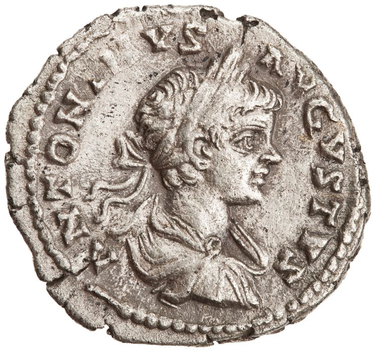 RIC IV Caracalla 350, аверс, American Numismatic Society (ans)